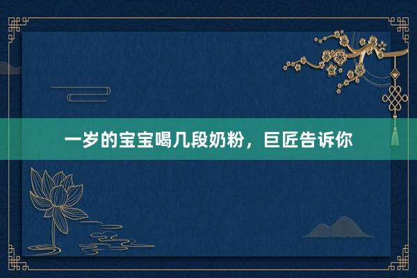 一岁的宝宝喝几段奶粉，巨匠告诉你